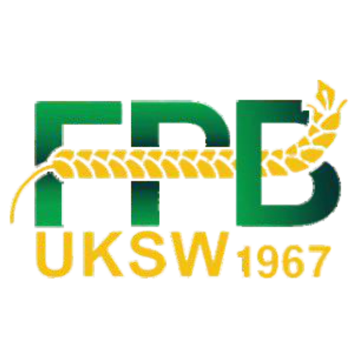 Logo FPB UKSW